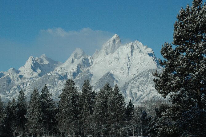 Grand Teton National Park Full Day Tour Review - Highlights and Experiences