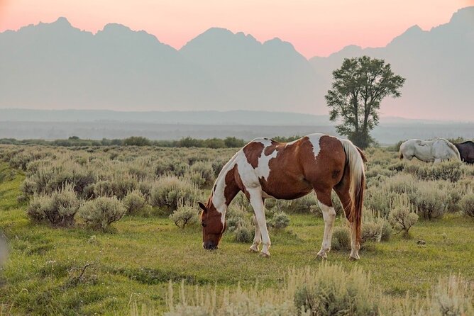 Grand Teton: Private Sunset Tour - Frequently Asked Questions
