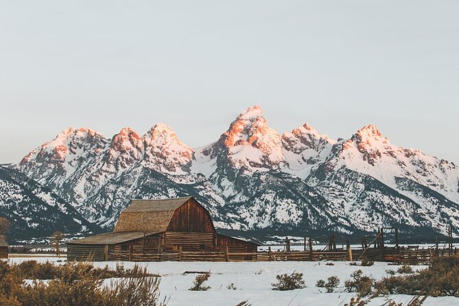 Grand Teton Private Winter Tour - Gourmet Cuisine