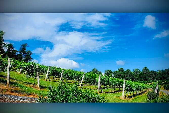Grandfather Mountain Private Wine & Dine Tour From Asheville - Customer Feedback