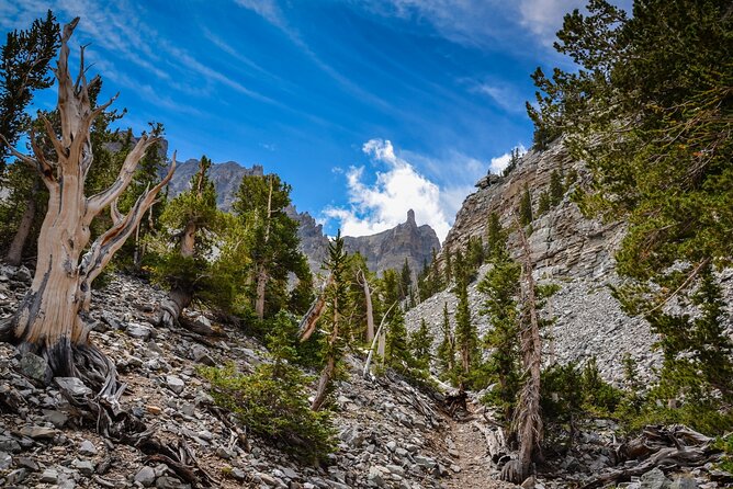 Great Basin National Park Audio Guided Tour Review - Accessibility and Inclusivity