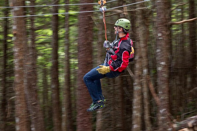 Grizzly Falls Ziplining Expedition - Pricing and Inclusions