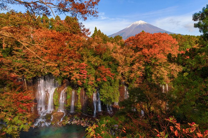Group 1 Day Tour of Mt. Fuji and Hakone: Onsen, Arts, and Nature - Booking Information