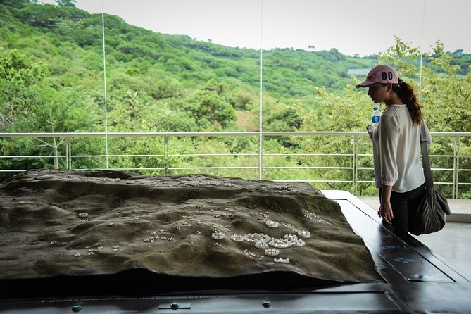 Guachimontones and Tequila Tour - Family-Friendly Aspects