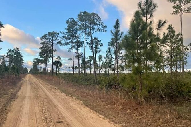 Guided Day Hike Through Floridas Wild Backcountry. - Safety Guidelines