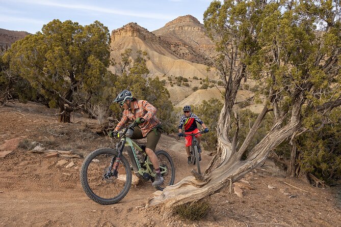 Guided E-Mountain Biking Tour Review - E-Mountain Biking Experience