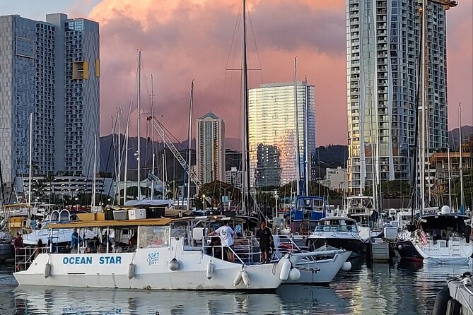 Guided Waikiki Turtle Snorkeling Review - Highlights and Drawbacks