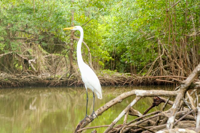 Haitises & Montaña Redonda, Natures Beauty Tour - Frequently Asked Questions