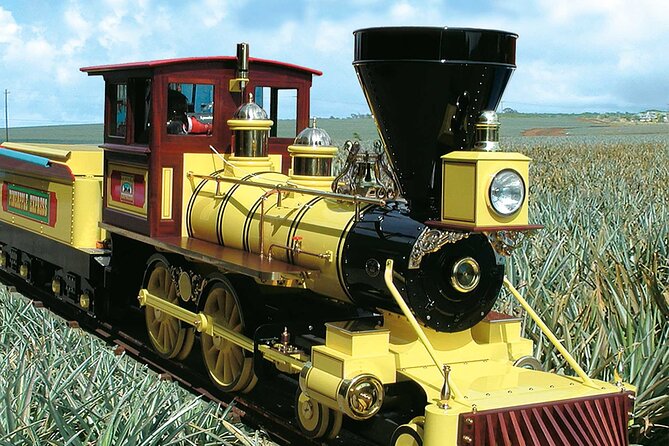 Haleiwa Express & Dole Plantation - Highlights of the Tour
