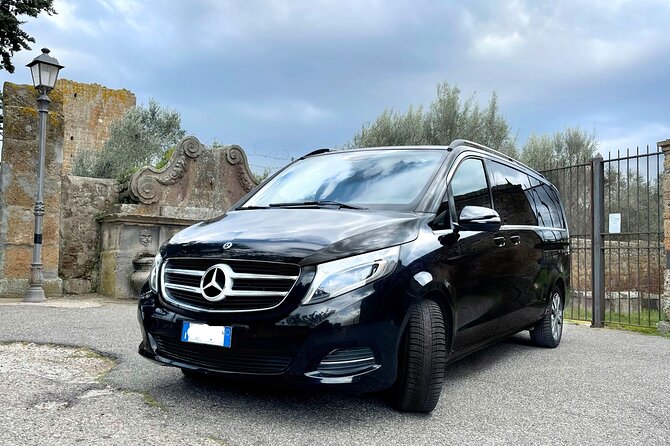 Half Day 6 Hour Rome Tour With Driver - From Your Hotel in Rome - Accessibility Features