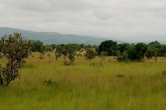 Half-day Accra Safari Tour - Customer Reviews and Feedback