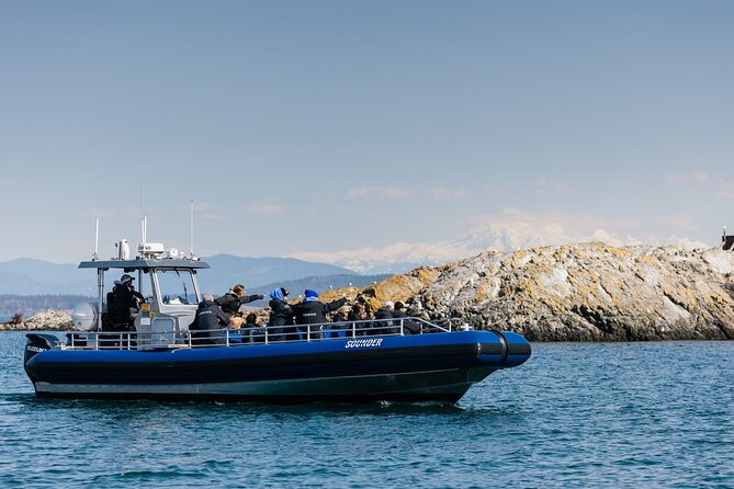 Half-Day Anacortes Whale and Wildlife Watching Guided Adventure - Departure Location