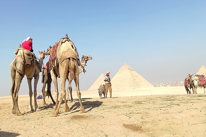 Half Day Giza Pyramids and Sphinx Tour With an Egyptologist - Experience Highlights