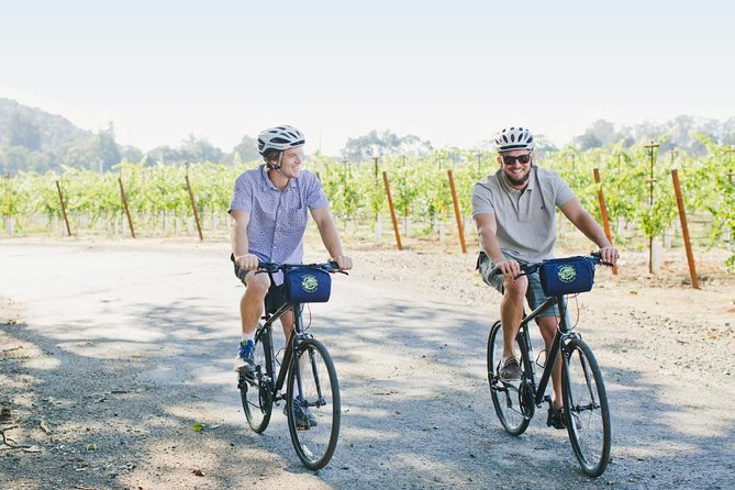 Half-Day Napa Valley E-Bike Tour - Winery Tastings and Fees