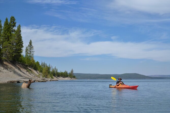Half Day Paddle on Yellowstone Lake Review - Booking and Confirmation Process