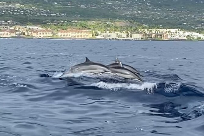 Half Day Private Cruise Tour With Snorkeling Review - Highlights and Experiences