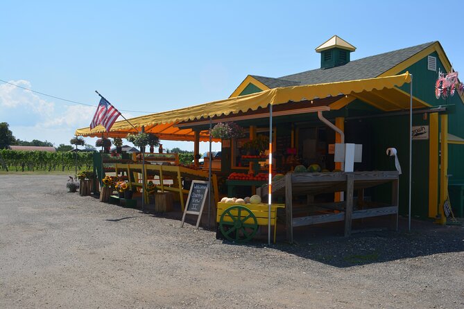 Half Day Private North Fork Bike Tour Thru Wine Cntry in Matituck - Ideal Participants
