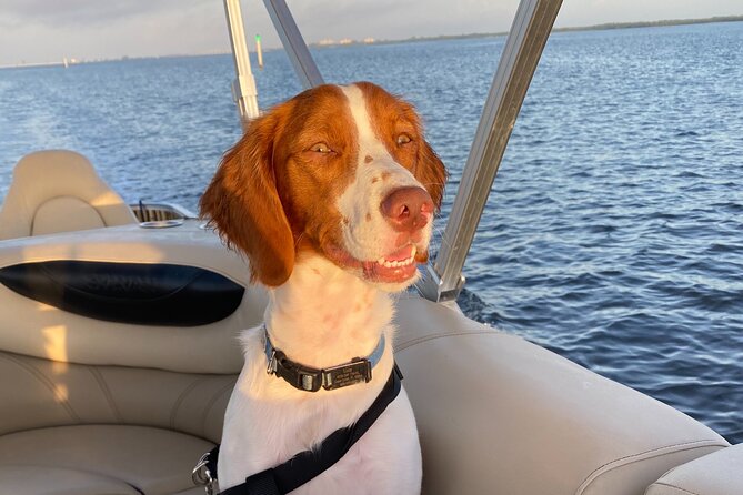 Half-Day Private Tiki Boat Beach Tour From Fort Myers - Positive Guest Experiences