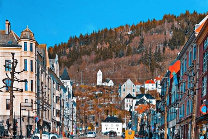 Half-Day Private Walking Tour in Bergen With Dinner and Funicular - Ask Away