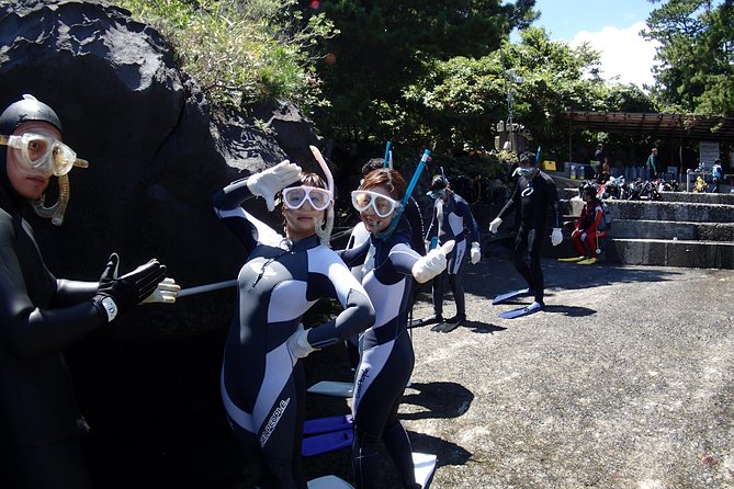 Half-Day Snorkeling Course Relieved at the Beginning Even in the Sea of Izu, Veteran Instructors Will Teach Kindly - Snorkeling Highlights