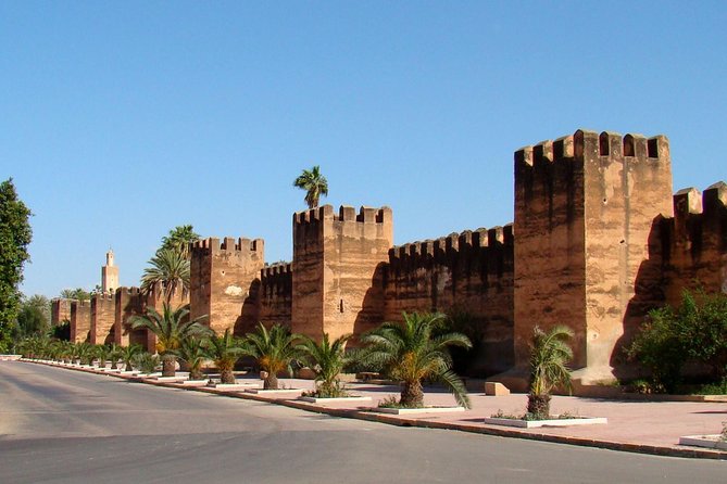 Half Day Tour : Agadir Goats in Argan Trees & Souk El Had Market - Tips for a Great Experience