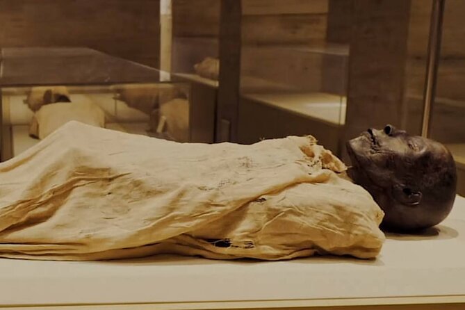 Half Day Tour To The National Museum of Egyptian Civilization - Visitor Reviews and Feedback