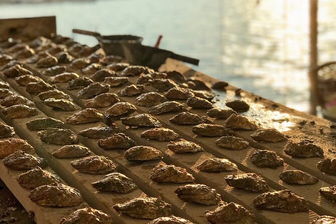 Half-Day Trip - Oysters in Ston - Booking and Pickup Details