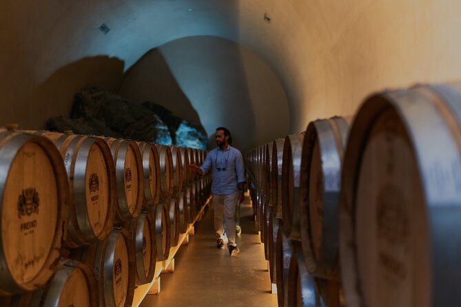 Half Day Wine Tour Around Evora - Visiting the Wineries