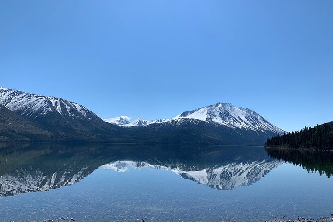 Half Day Yukon Suspension Bridge & Summit Tour - Wildlife Viewing Opportunities