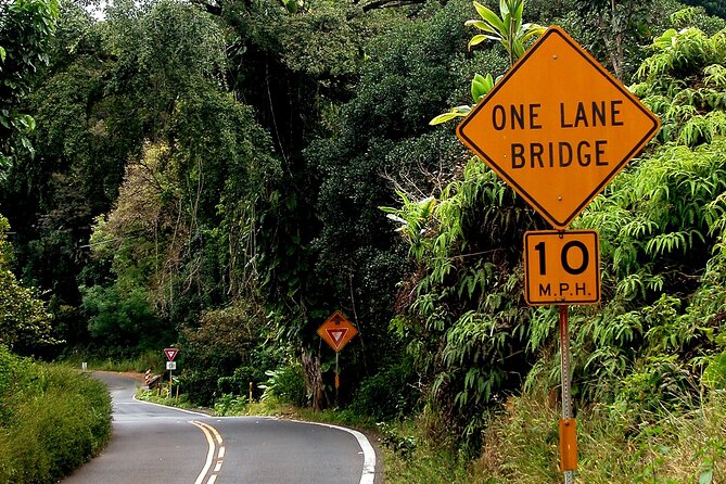 Halfway to Hana Tour Review: A Scenic Adventure - Knowledgeable Guided Tour