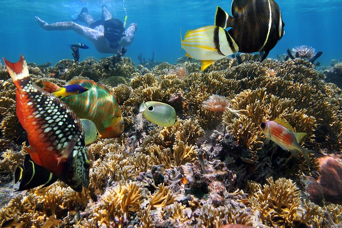 Hanauma Bay Snorkeling - Concerns and Areas for Improvement