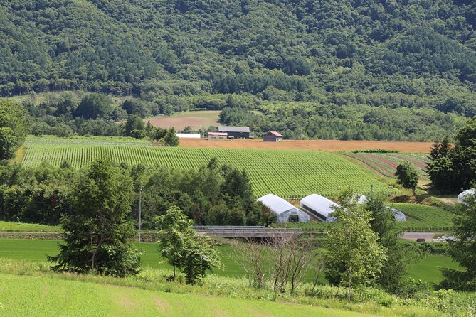 Harvest Experience in Akaigawa With Lunch Freshly Picked Veggies - Inclusions and Exclusions