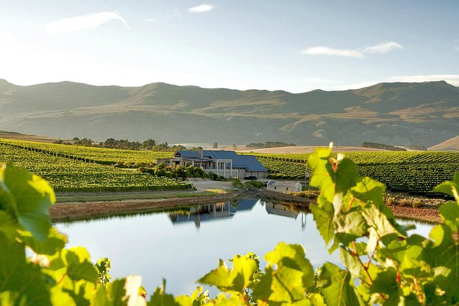 Hemel En Aarde Whale Coast + Wine Day Tour With Private Transfer - Wildlife Encounters