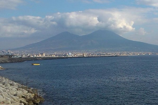 Herculaneum and Mount Vesuvius With Driver Private Shore Excursion From Naples - Accessibility Features