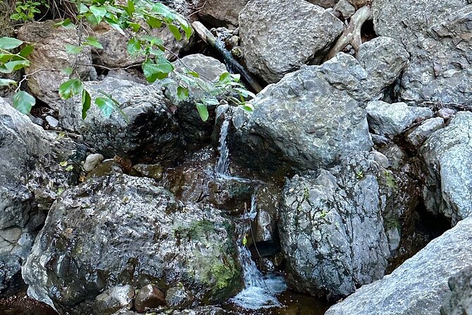 Hidden Grotto & Waterfall Adventure Review - Booking and Pricing Details