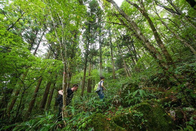 Hike up Mt. Omine and Enjoy the View of Miyajima - Booking Information