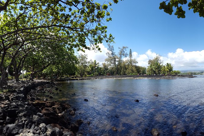 Hilo Shore Excursion: Active Volcano, Lava Tube, Waterfall and Gardens - Customer Feedback and Reviews