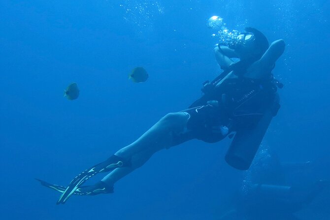 Hilos Remote Tropical Reef 2 Tank Boat Dive - Booking Information