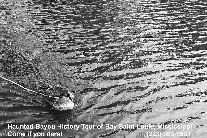 Historical Haunted Bayou Cruise - Navigating the Pearl River
