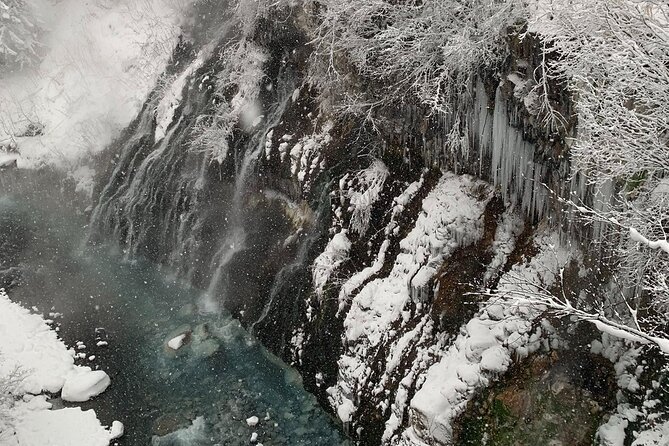 Hokkaido Furano and Biei Private Day Tour（Depart From Sapporo） - Exploring Furano