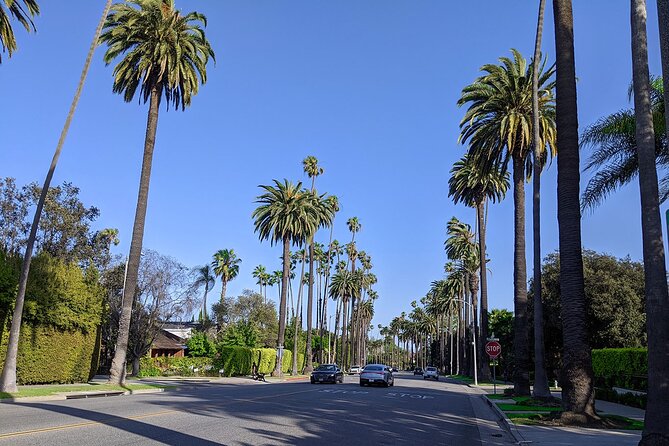 Hollywood City Tours: A Comprehensive Review - Operator Professionalism and Tour Experience