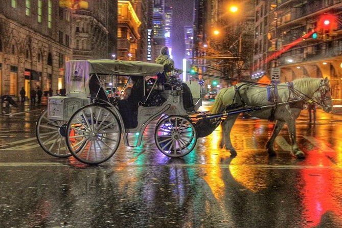 Horse Carriage Tour in New York Citys Central Park Small Loop - Customer Reviews and Highlights