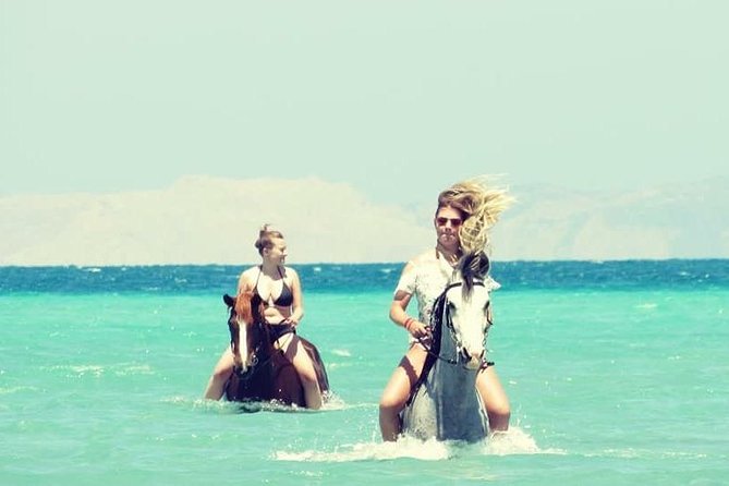 Horse Riding Adventure 2 Hours Sea and Desert - Hurghada - Customer Experiences