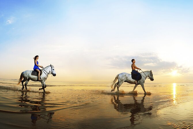 Horse Riding in Antalya,Belek,Lara Beach(Sunrise,Sunset,Day Time) - Past Customer Experiences