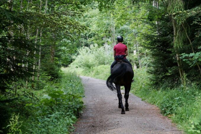 Horse Riding in Nuwara Eliya - Booking and Cancellation
