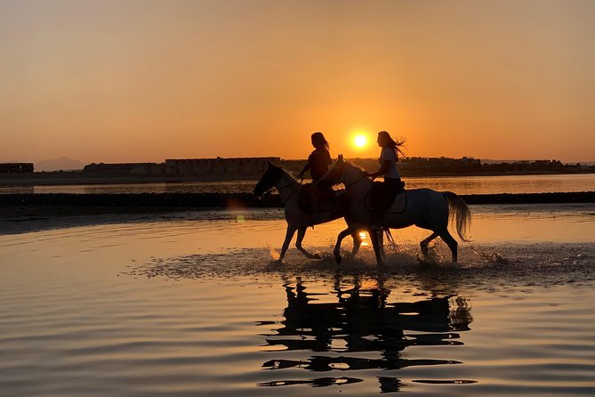 Horseback Or Camel Riding One Hour With Transfer - Sharm El Sheikh - Tips for Participants