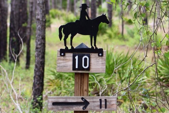 Horseback Ride on Scenic Lake Louisa Trails - Group Size and Tour Details