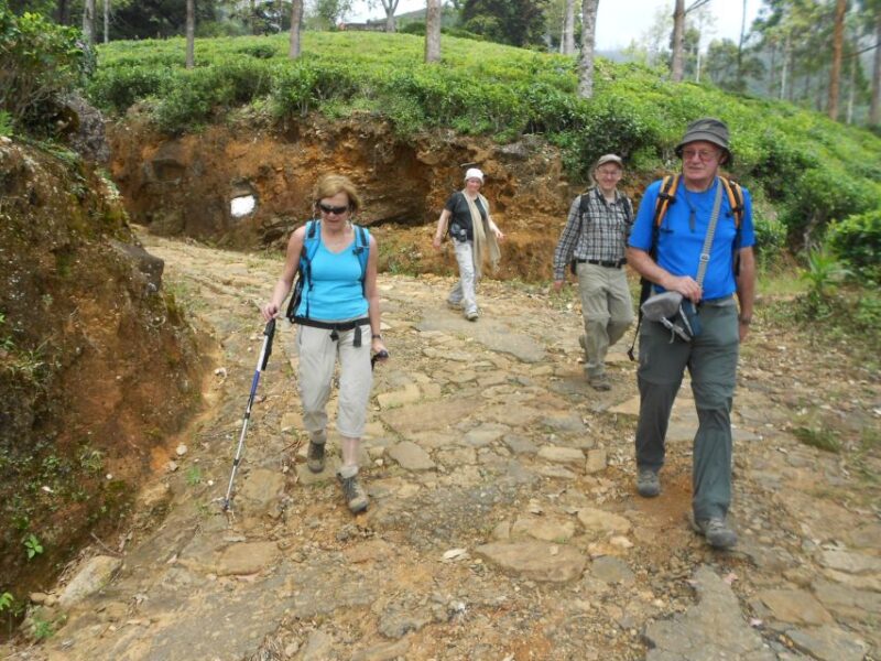 Horton Plains: Pekoe Trail Stage 11 Hiking Trip to Udaweriya - Suitability and Recommendations
