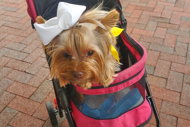 Howl O Ween Doggy Costume Party Cruise - Pricing Information