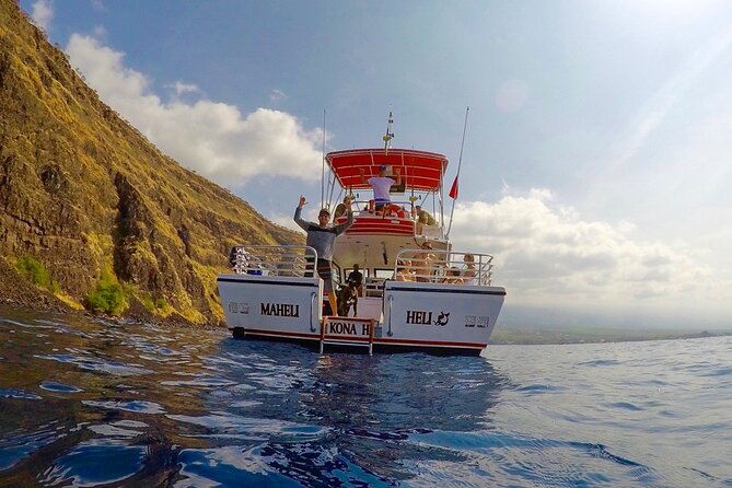 Humpback Whale Watching in Kailua-Kona Review - The Sum Up